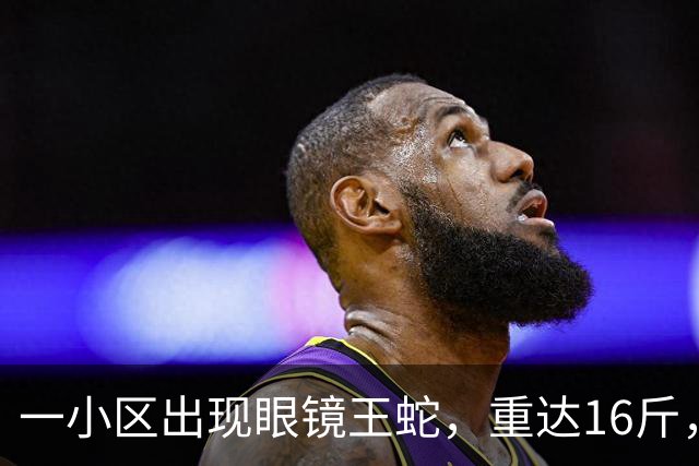一小区出现眼镜王蛇，重达16斤，就在居民窗外游走，消防：是世界上体型最大的前沟牙毒蛇