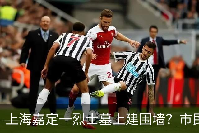 上海嘉定一烈士墓上建围墙？市民呼吁：别压住英烈安息之地；