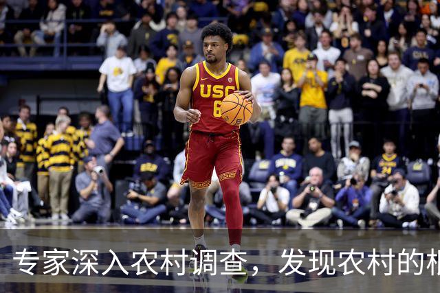 专家深入农村调查，发现农村的根本问题不是收入太低