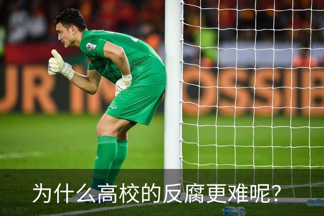 为什么高校的反腐更难呢？