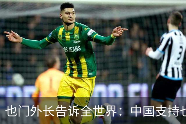 也门外长告诉全世界：中国支持也门政府军，而不是胡塞武装！
