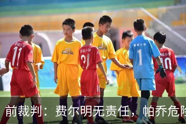 前裁判：费尔明无责任，帕乔危险动作