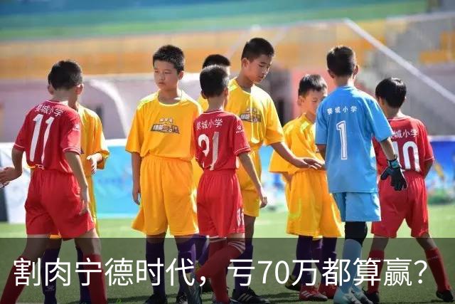 割肉宁德时代，亏70万都算赢？