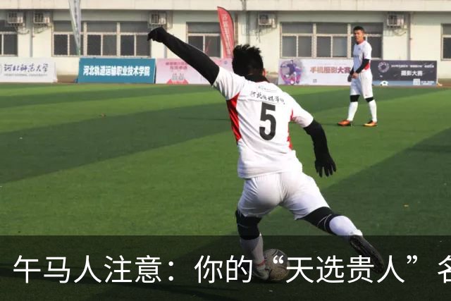 午马人注意：你的“天选贵人”名单曝光，第一名绝了！