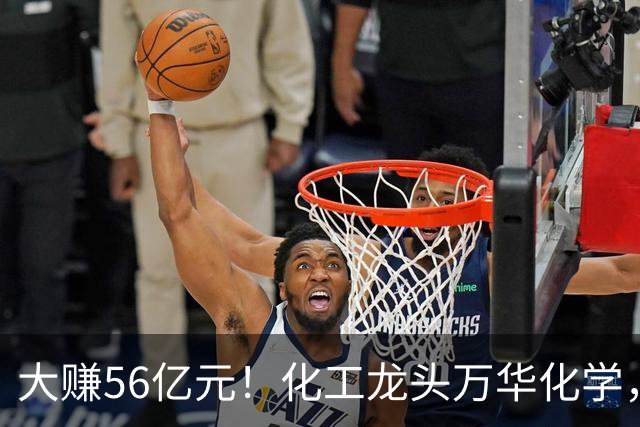 大赚56亿元！化工龙头万华化学，第三季度净利大增84%，股价较年内高点回撤近三成