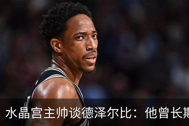 水晶宫主帅谈德泽尔比：他曾长期是我的榜样 向他学习过如何踢球