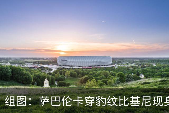 组图：萨巴伦卡穿豹纹比基尼现身海边 展示曼妙曲线