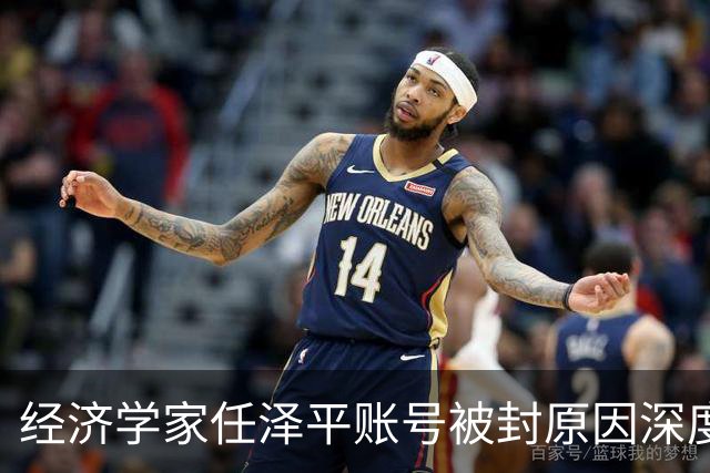 经济学家任泽平账号被封原因深度分析