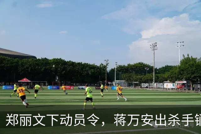郑丽文下动员令，蒋万安出杀手锏，卢秀燕设防线，朱立伦挺赵少康